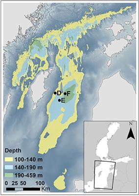 Influence of Natural Oxygenation of Baltic Proper Deep Water on Benthic Recycling and Removal of Phosphorus, Nitrogen, Silicon and Carbon